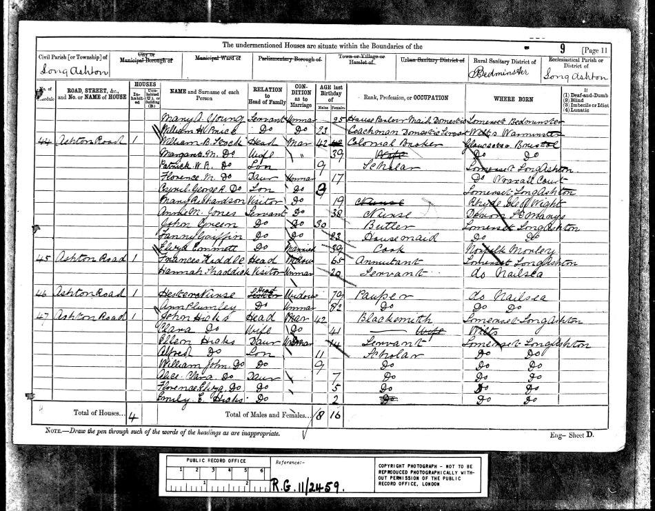 - Census-1881-MaryAnnYoung-p2