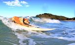 Surfing dog Cedar on a wave at her home beach.