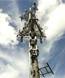 Blood tests sent to NBN Co to thwart tower plans